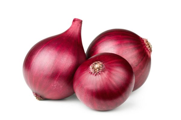 Krakenruzxpnew4af onion com tor